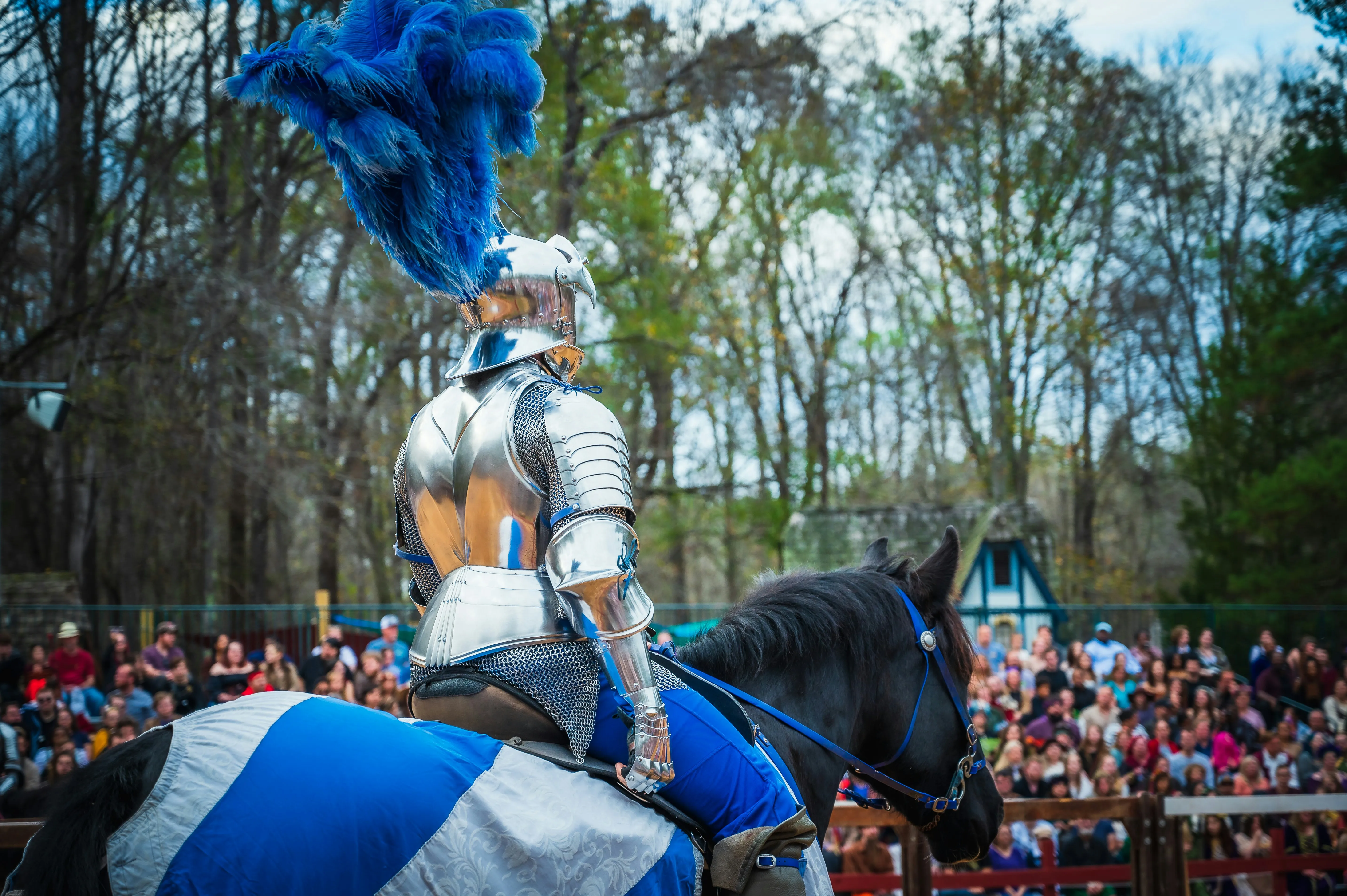 Knight in armor on horseback